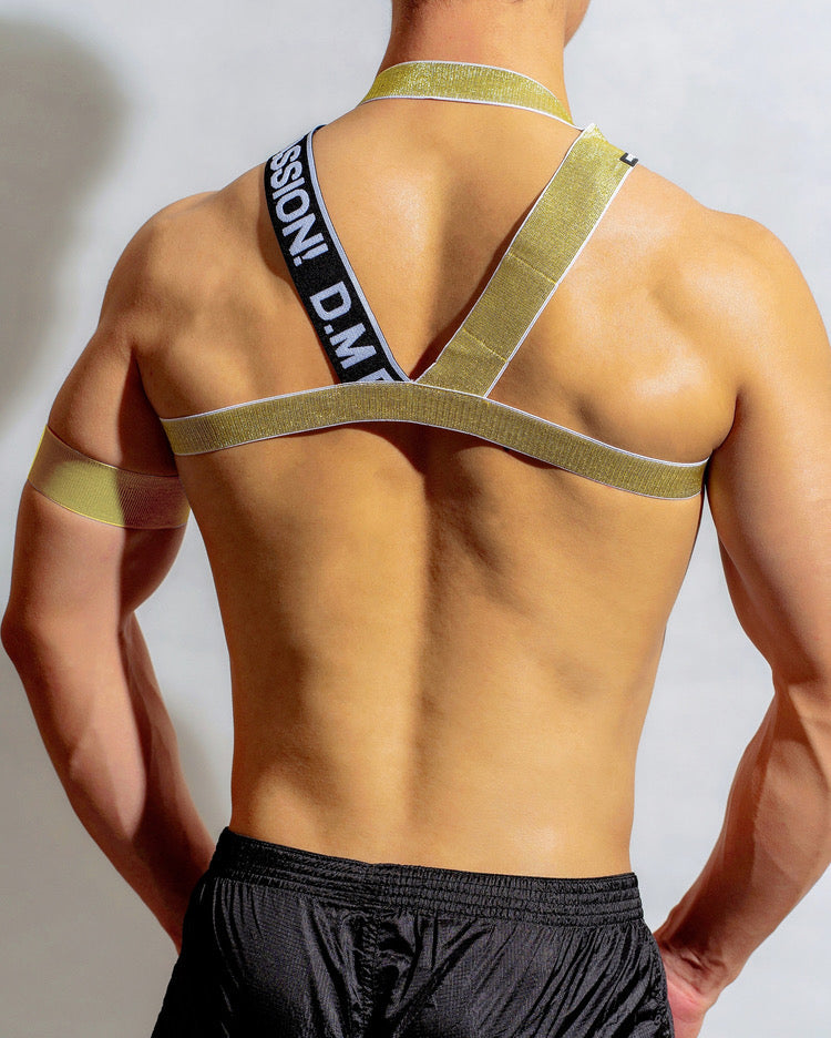 DM MEN’S GOLD AND SILVER ELASTIC CIRCUIT PARTY HARNESS