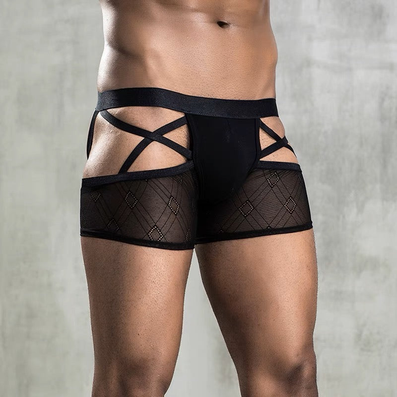Men's Mesh Sheer See-through Tights Underwear Sexy Lingerie