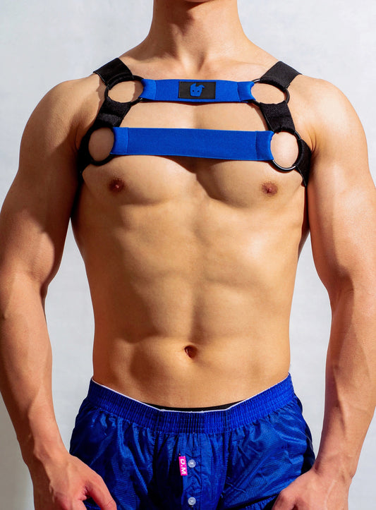 DM MEN’S DOUBLE STRAP CHEST HARNESS