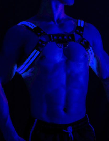 DM LED CIRCUIT PARTY BULL DOG CHEST HARNESS